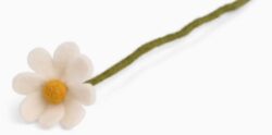 Anemone Flower - White