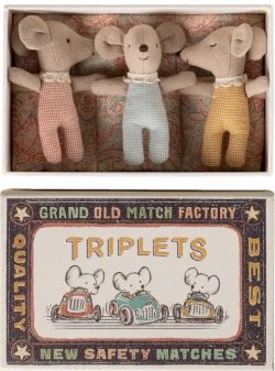 Triplets, Baby mice in matchbox