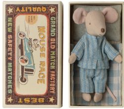 Big brother mouse in matchbox