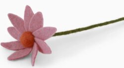 Cosmos Flower - Light Pink