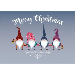 Boxed Cards - Gnomes