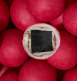 Limited Edition: Strawberries & Cream - Lakrids by Bülow - Image 2