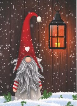 Boxed Cards - Gnome with Lantern