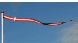 Vimpel Danish Flag Design 9' long