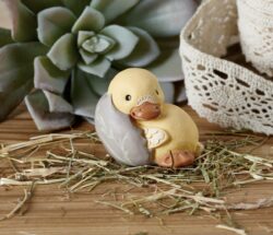 Klarborg Duckling – Ralle
