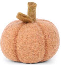 Pumpkin - Dusty Light Orange