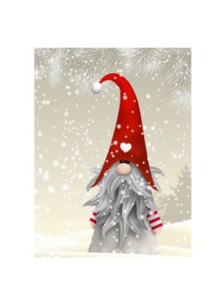Boxed Cards - Gnome in Snow