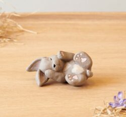 Klarborg Hare – Hugi