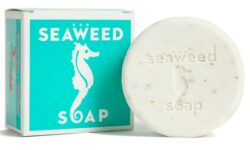 Swedish Dream Seaweed Soap