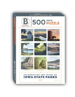 Iowa Bike Puzzle