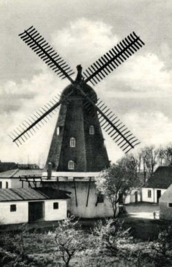 Annual Mill Membership