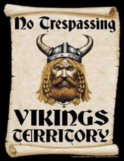Viking Trespassing Sign