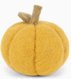 Pumpkin - Yellow